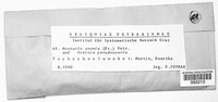 Image Associated With the Occurence